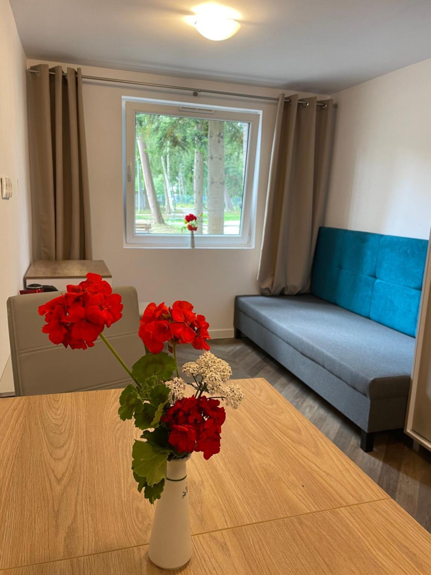 Hotel Domki Osrodek Wypoczynkowy Neptun Ujście-Darłowskie Exteriér fotografie